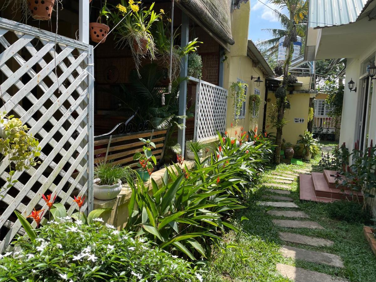 דירות Tropical Garden דואונג דונג מראה חיצוני תמונה