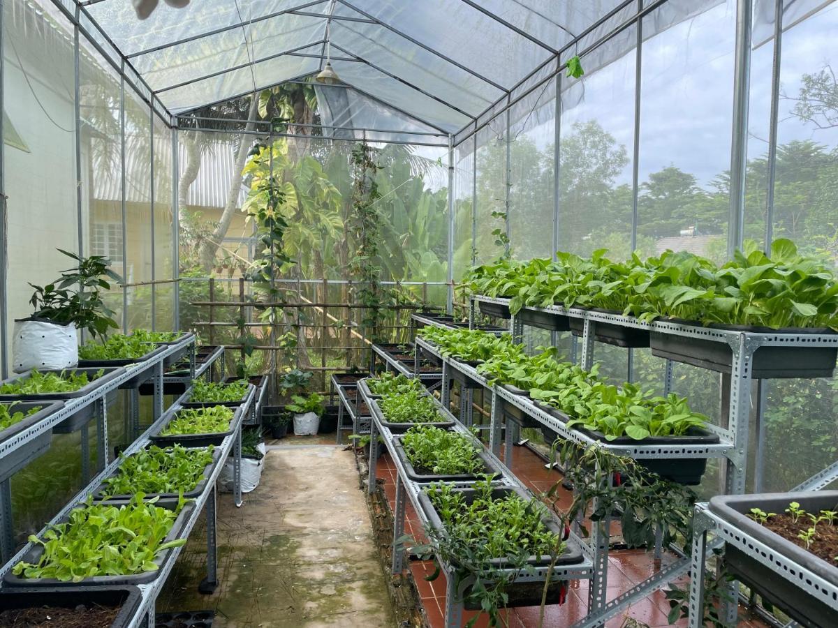 דירות Tropical Garden דואונג דונג מראה חיצוני תמונה