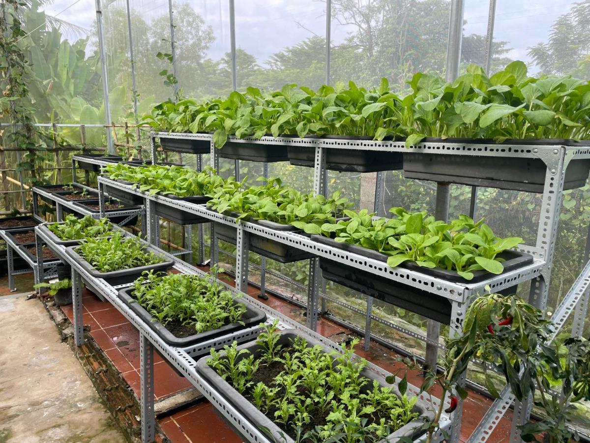 דירות Tropical Garden דואונג דונג מראה חיצוני תמונה