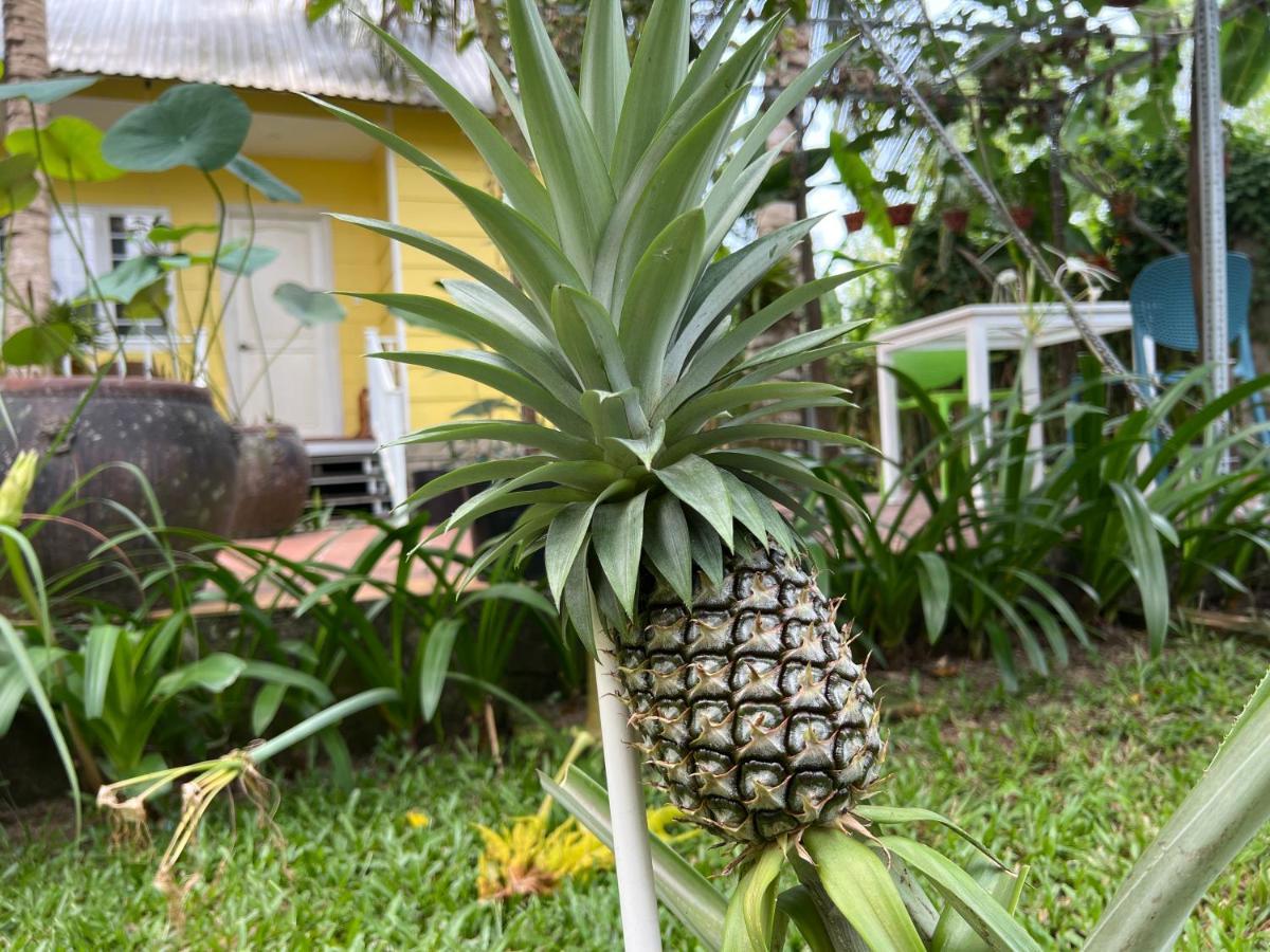 דירות Tropical Garden דואונג דונג מראה חיצוני תמונה