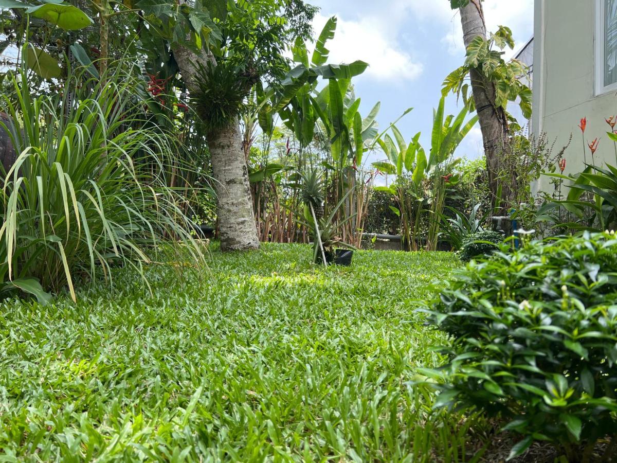 דירות Tropical Garden דואונג דונג מראה חיצוני תמונה