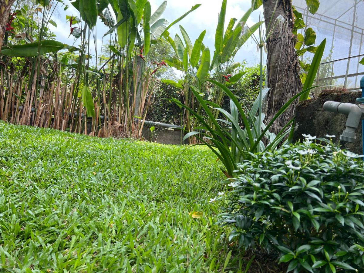 דירות Tropical Garden דואונג דונג מראה חיצוני תמונה