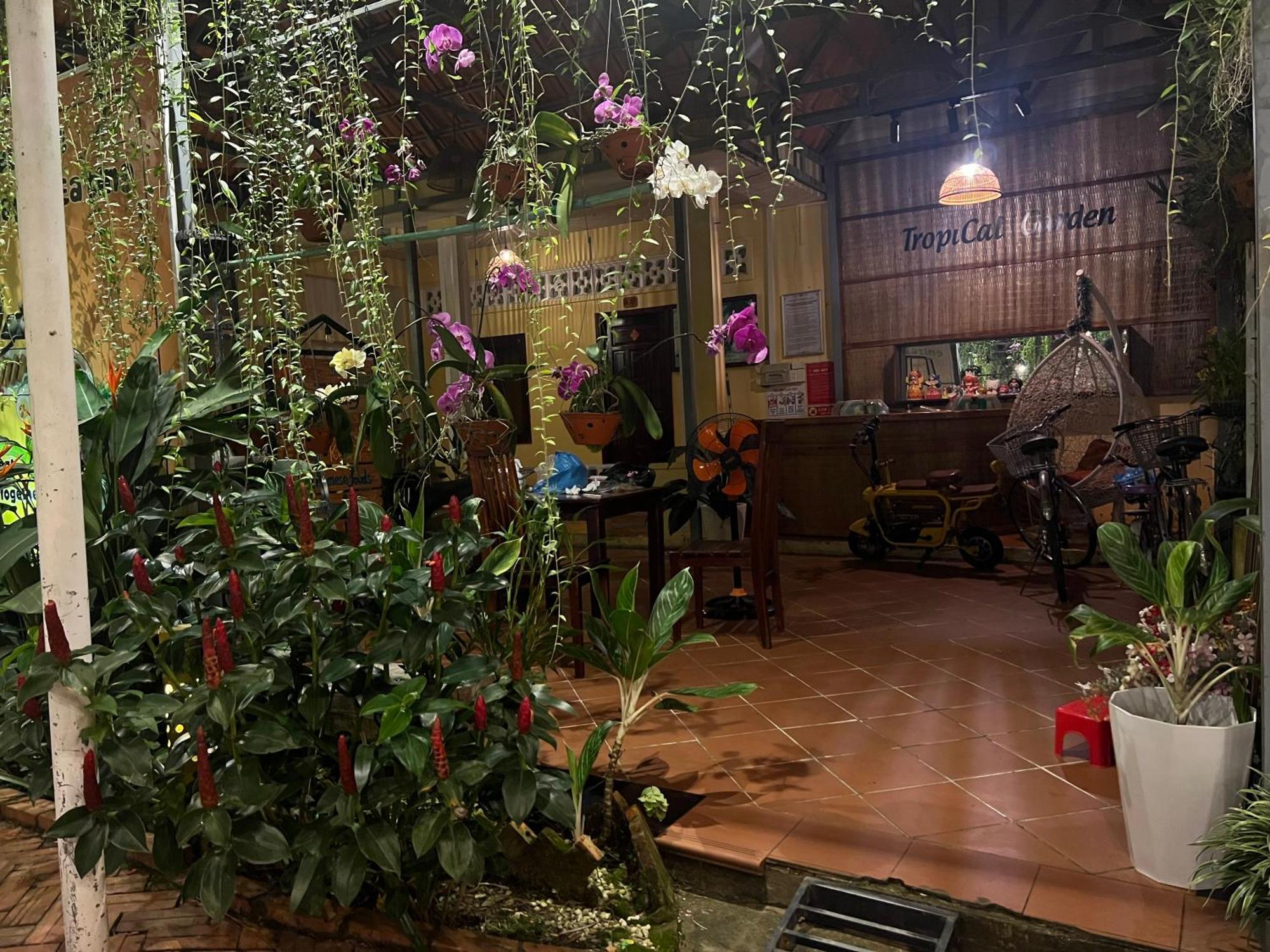 דירות Tropical Garden דואונג דונג מראה חיצוני תמונה