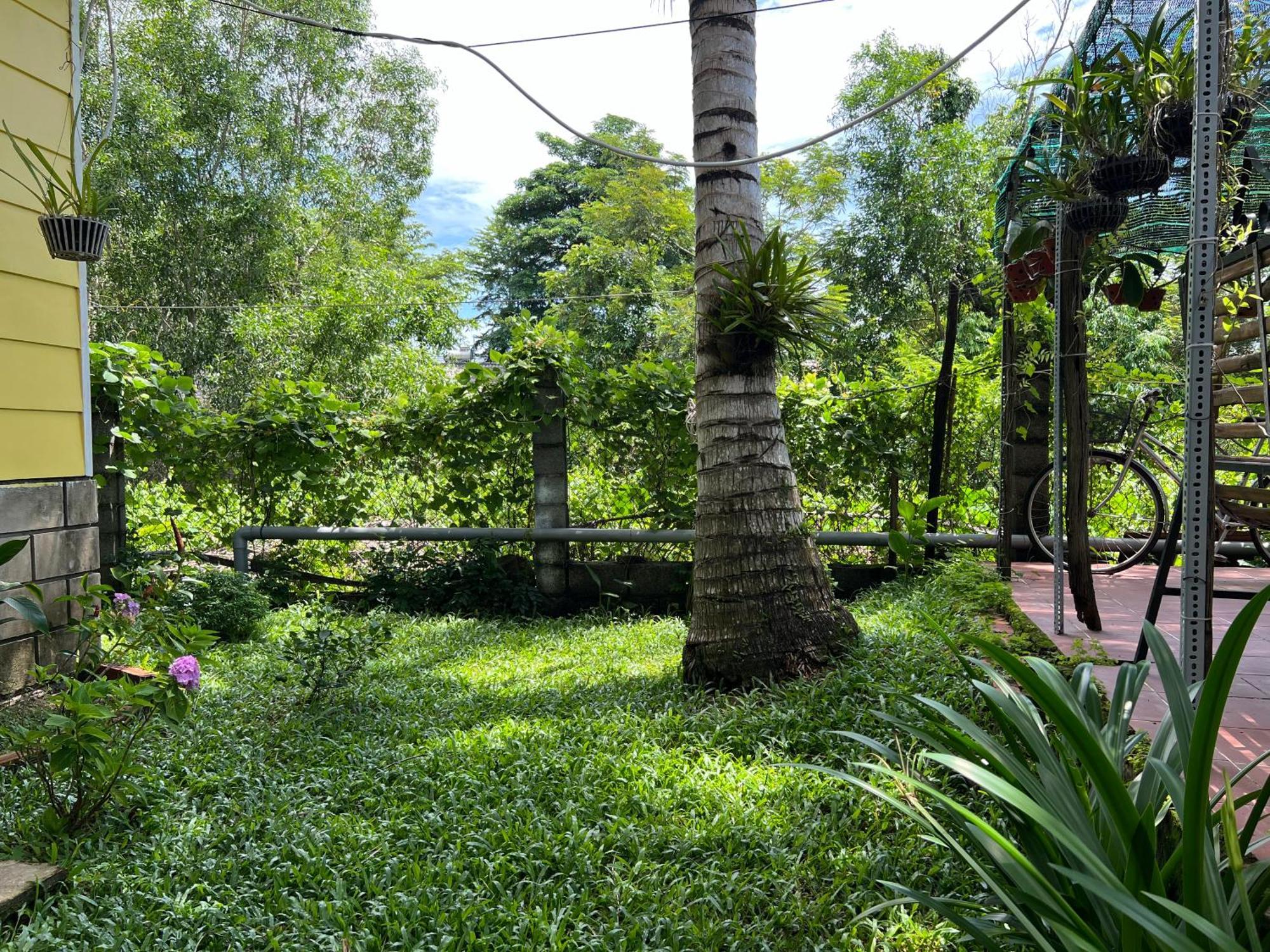 דירות Tropical Garden דואונג דונג מראה חיצוני תמונה
